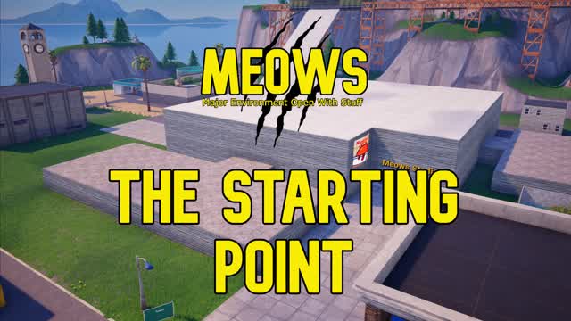 Capture 1 – Meows, The Starting Point