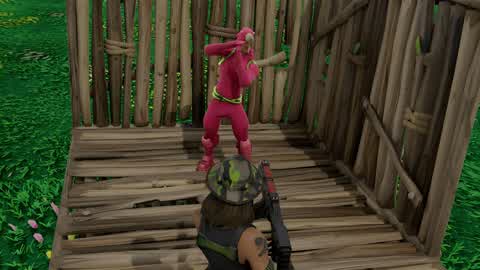 NATURE 1V1