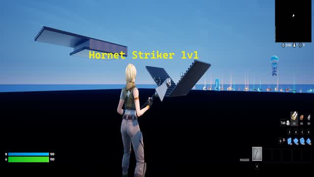 Hornet Striker 1v1 Map