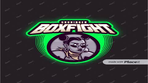 GroningenBoxFight