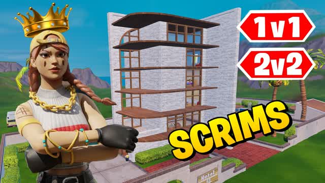 Pro scrims 1v1 2v2 Realistics