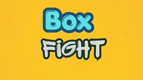 BOX fight