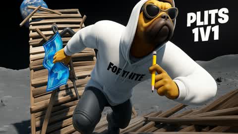 NEW PLITS 1V1