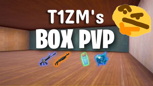 T1ZM's BOX FIGHTS