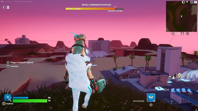 Capture 1 – OG WÜSTEN FLUGHAFEN