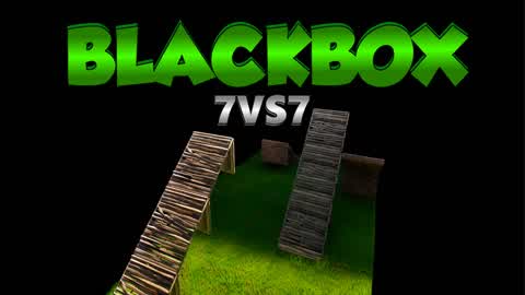 Black Box 7VS7