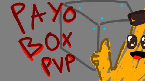 Payo Box PVP