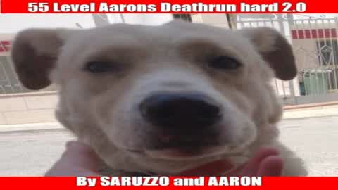55 LIVELLI AARONS DEATHRUN HARD 2.0