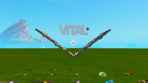 Vitals 1v1