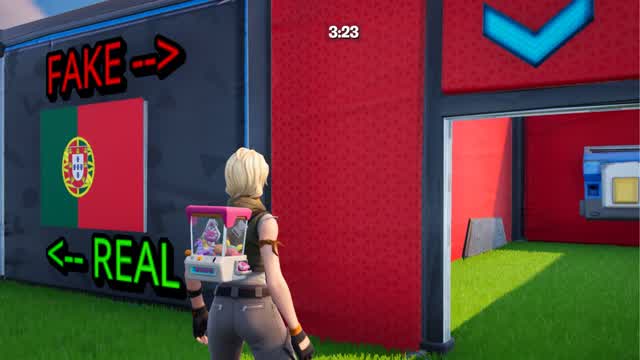 Capture 1 – FAKE or REAL - FLAGS