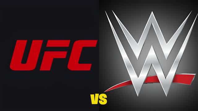 WWE vs UFC SUPER CRAZY FIGHT 💥🥊 GUN