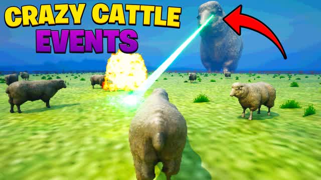 CRAZY CATTLE EVENTS