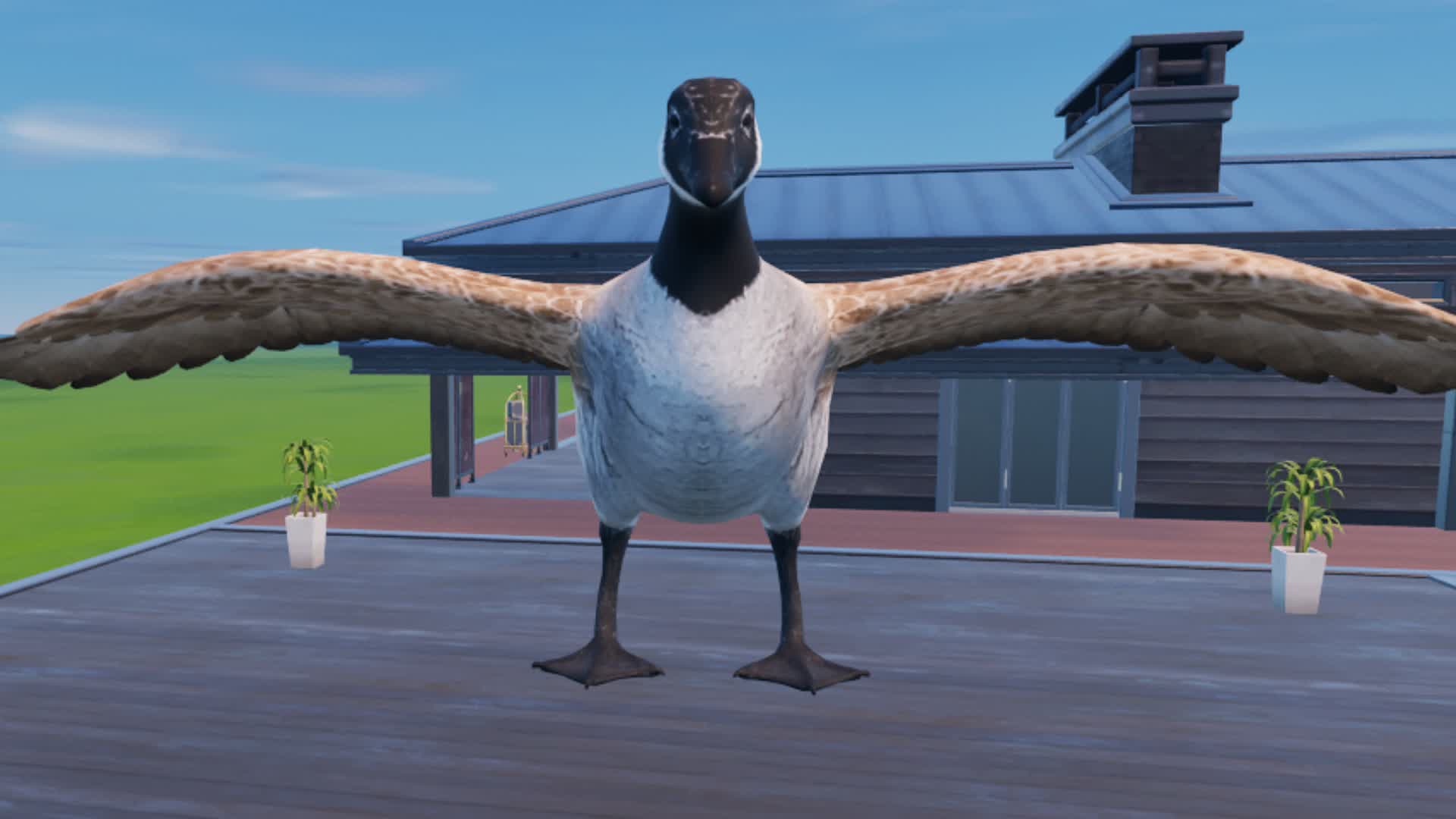 MEET GOOSE