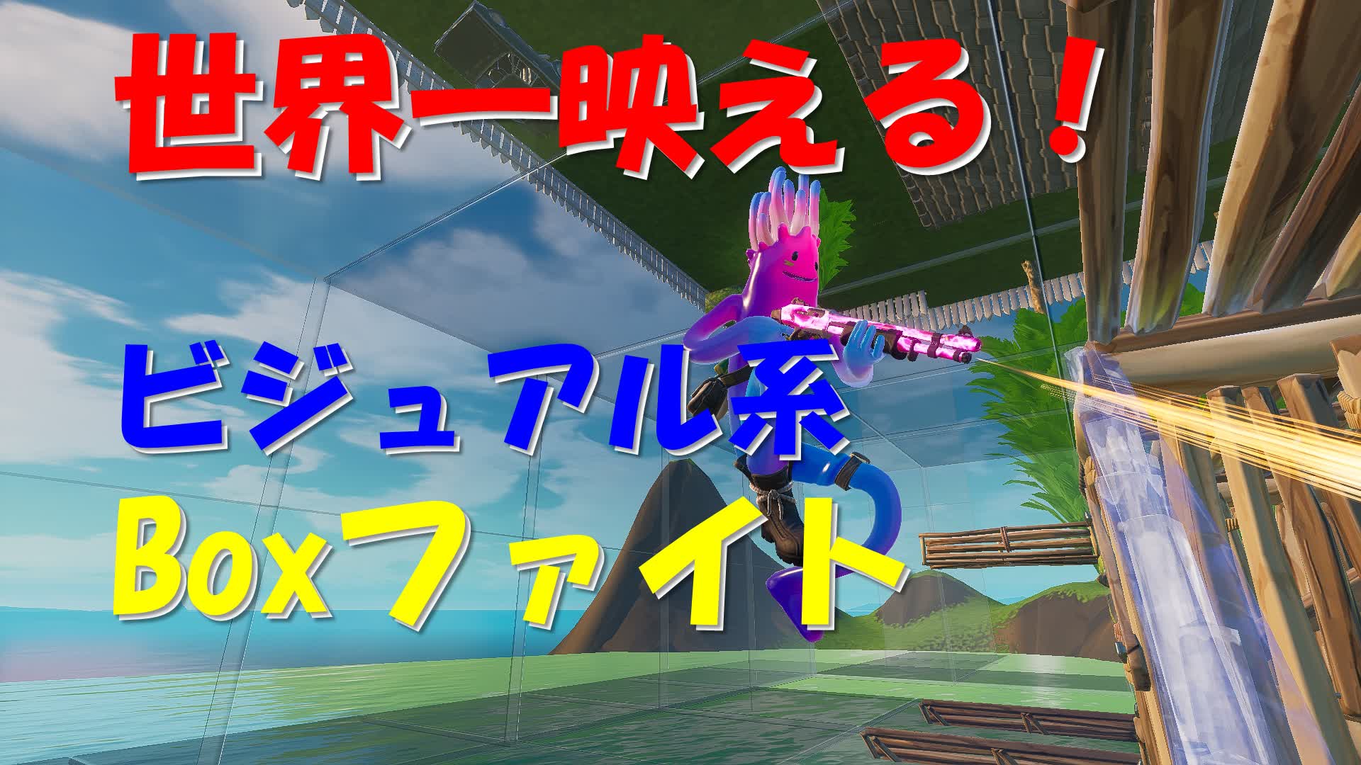 世界一映える！　ビジュアル系 Box ファイトC5S1