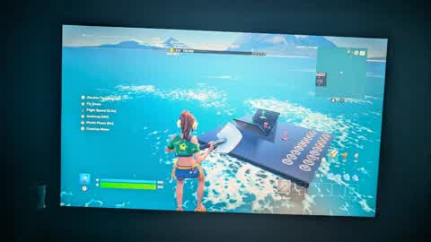 project 1v1s