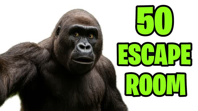 50+ ESCAPE ROOM EASY 🧩