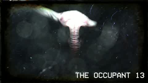The Occupant 13