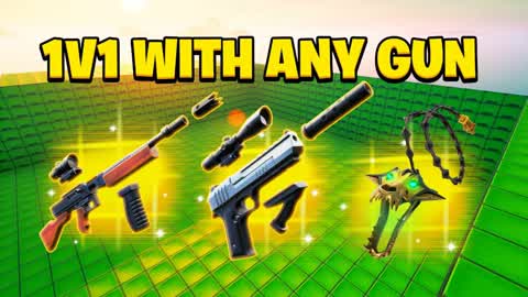 1V1 WITH EVERY GUN