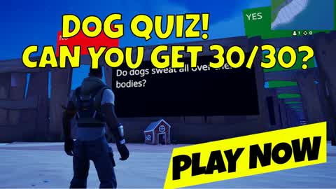 Dog Quiz – Think You Know It All?