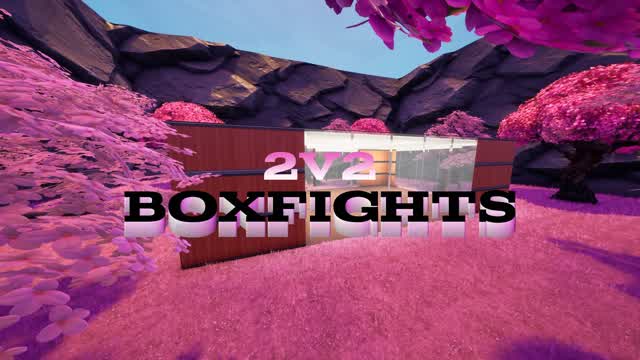 Capture 1 – 2v2 BoxFights | Sakura aesthetics