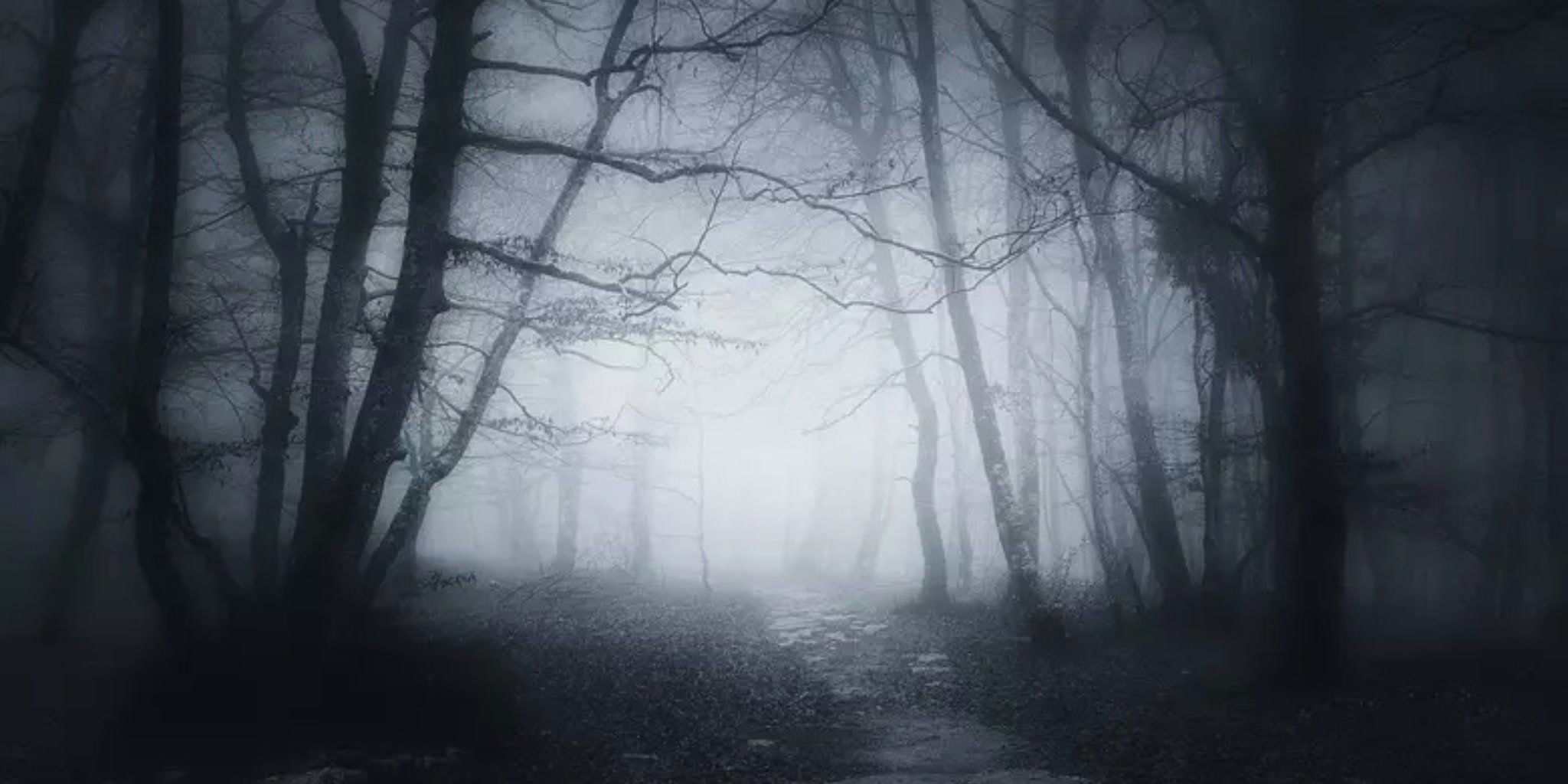 HAUNTED FOREST... (INTENSE!)