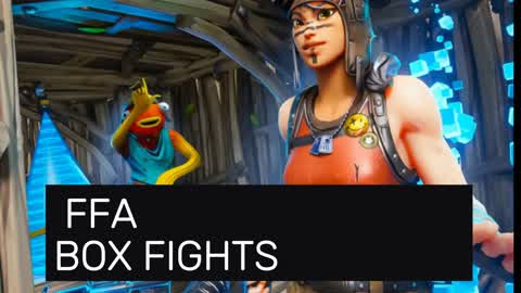 BOX FIGHT FFFA