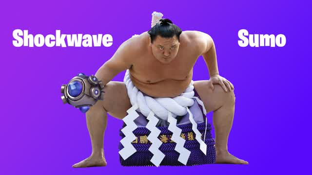 Capture 1 – ShockWave Sumo