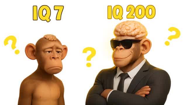 20 IQ Escape Room🔒