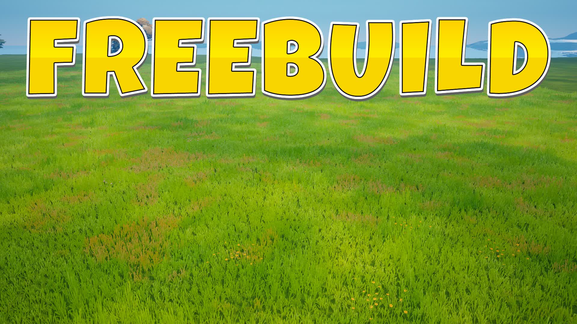 🧩FREEBUILD / AIM training