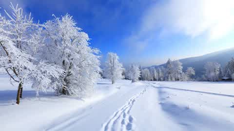 Snowy Roads<3