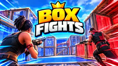 box fights 1v1