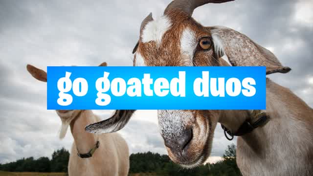 go goated duos