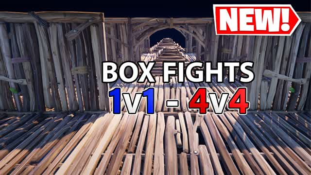 1v1-4v4 Box Fight
