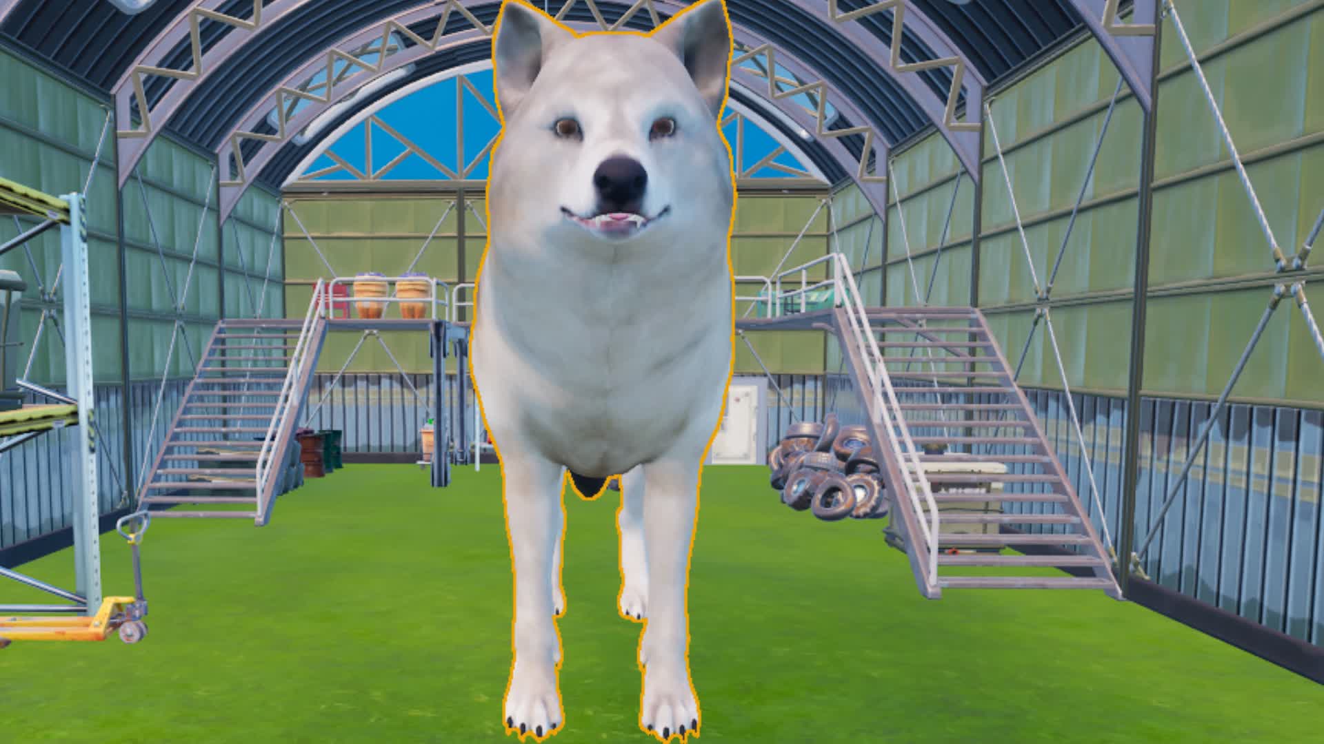 MEET NICE WOLF