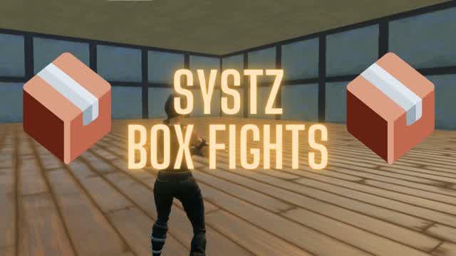 Systz Box Fights