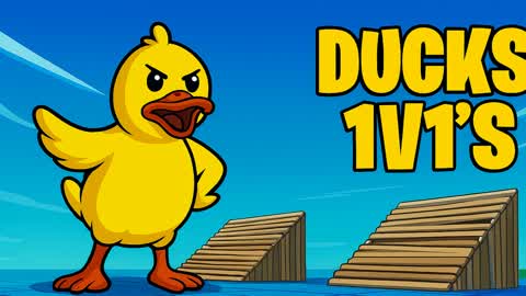 Ducks 1v1's