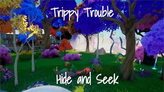 Capture 1 – Trippy Trouble Hide and Seek