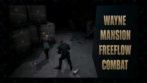 WAYNE MANSION FREEFLOW COMBAT
