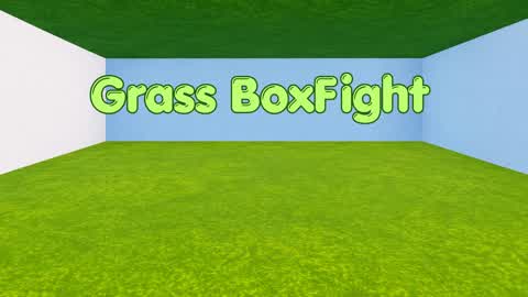 Grass BoxFight