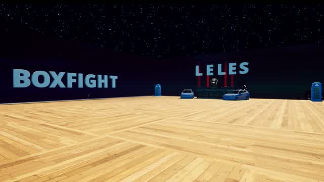 Leles Galaxy Boxfights