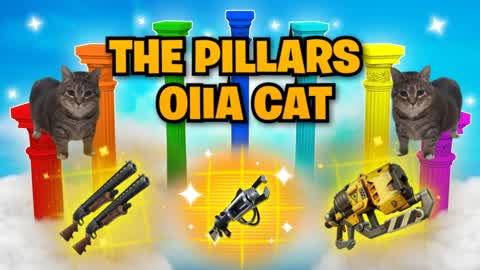 OIIA CAT PILLARS UPDATED 🐱🐈