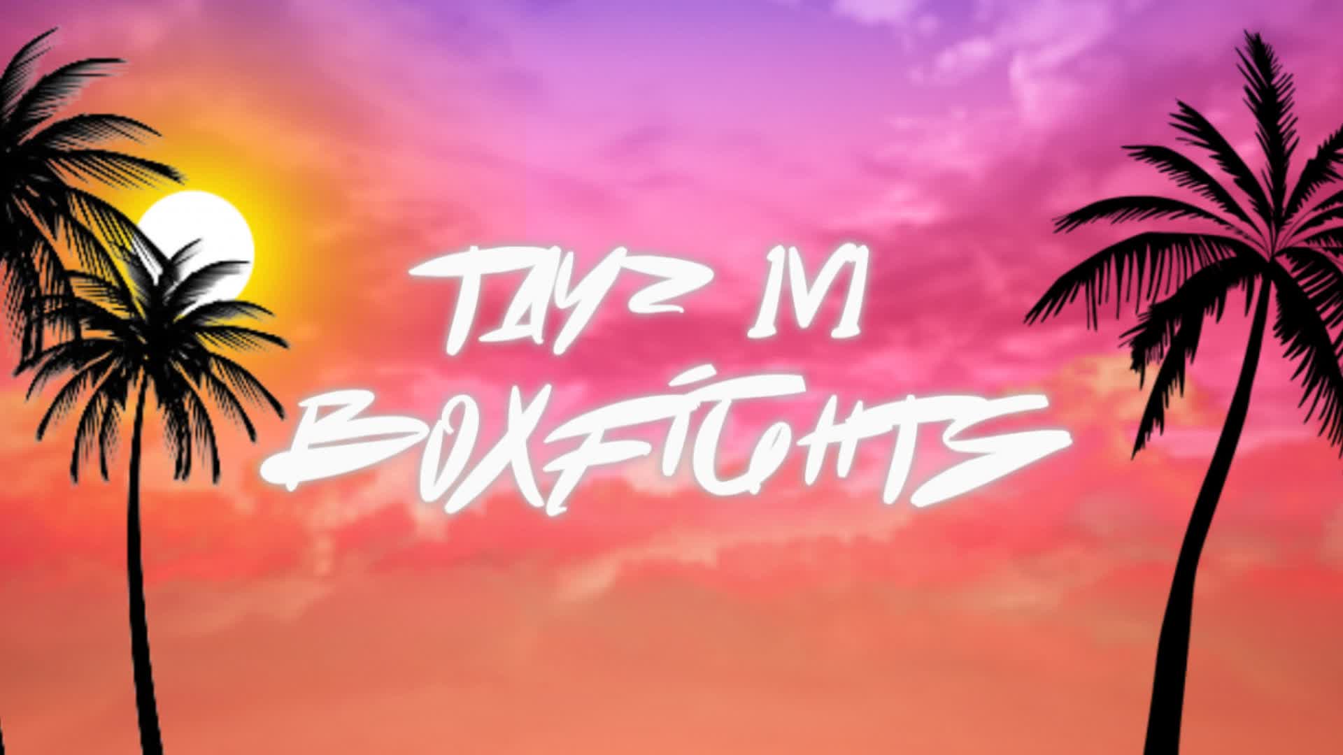 TAYZ 1v1 BOXFIGHT