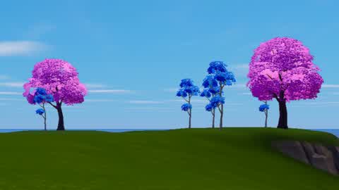 1V1 BEAST CONSTRUCTION