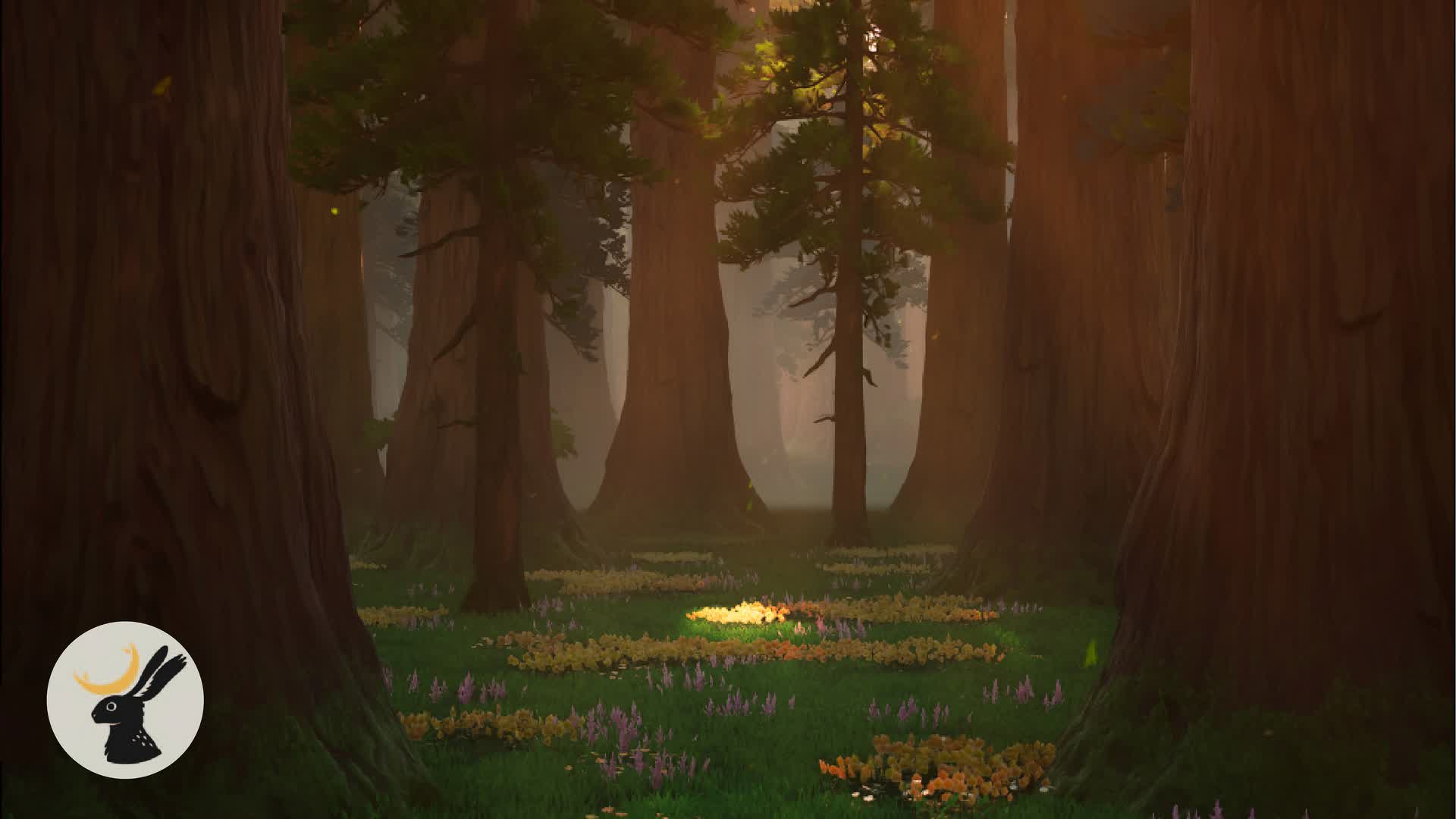 🌳FOREST🌳 ZONE WARS