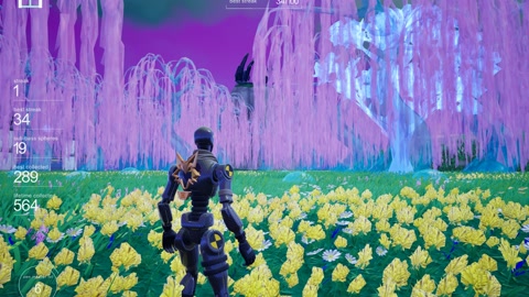 Island image