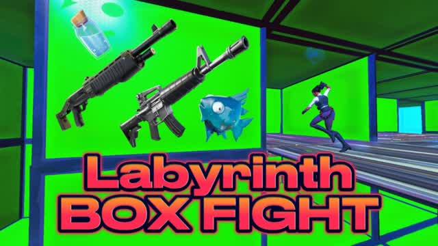 LABYRINTH BOX FIGHT