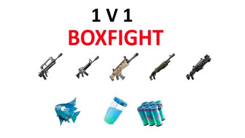 1 V 1 BoxFight