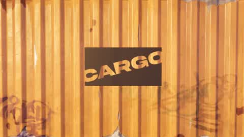 The Cargo 3V3