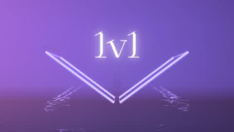 1v1