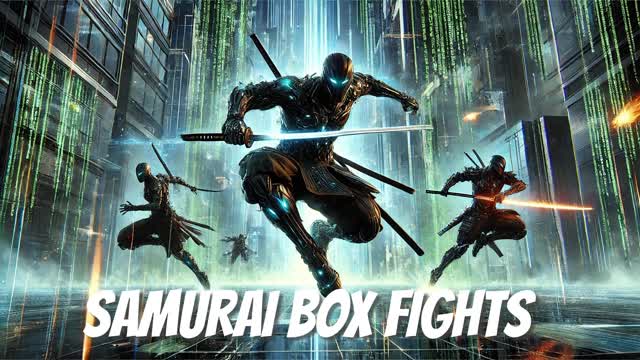 Capture 1 – Samurai Box Fights